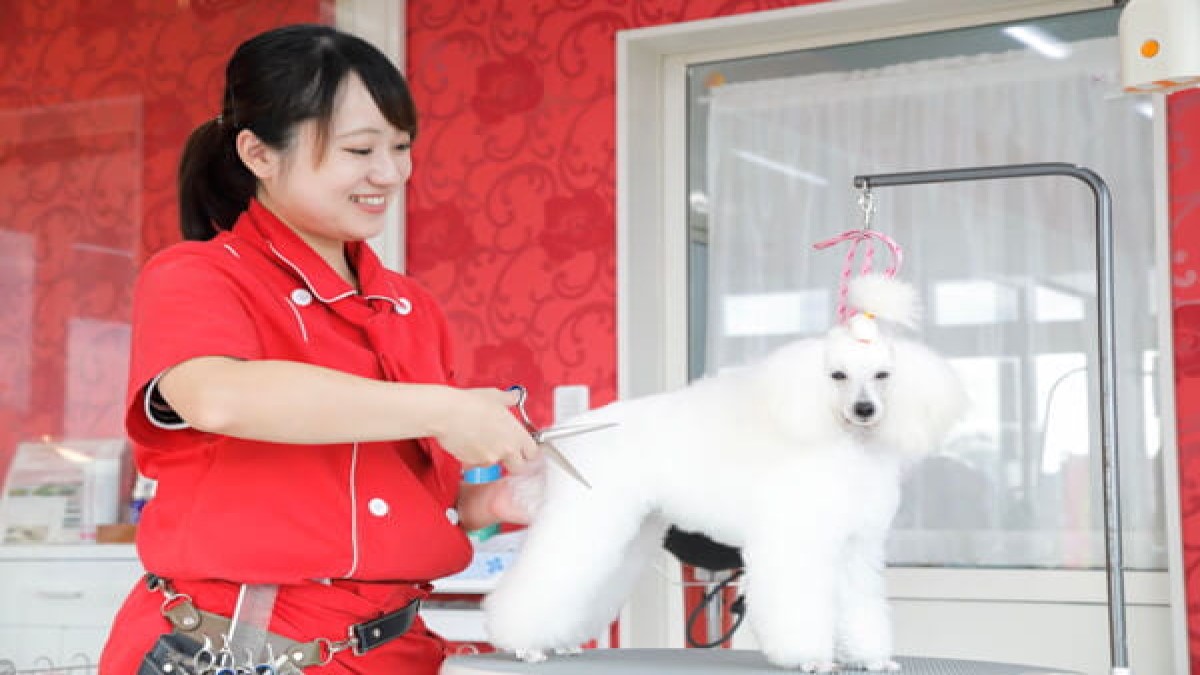 Eathetic health&beauty for Dogs MissLacy つくば
