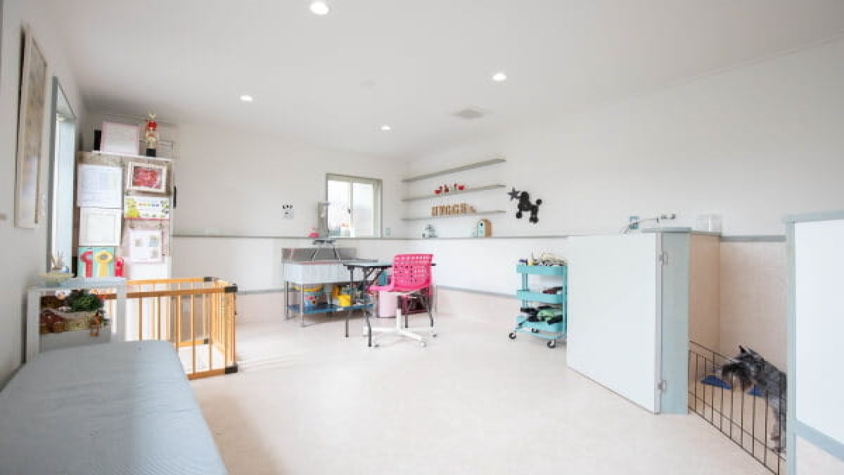 Dog Salon Hygge