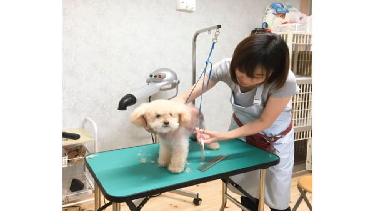 トリミングサロンつくし