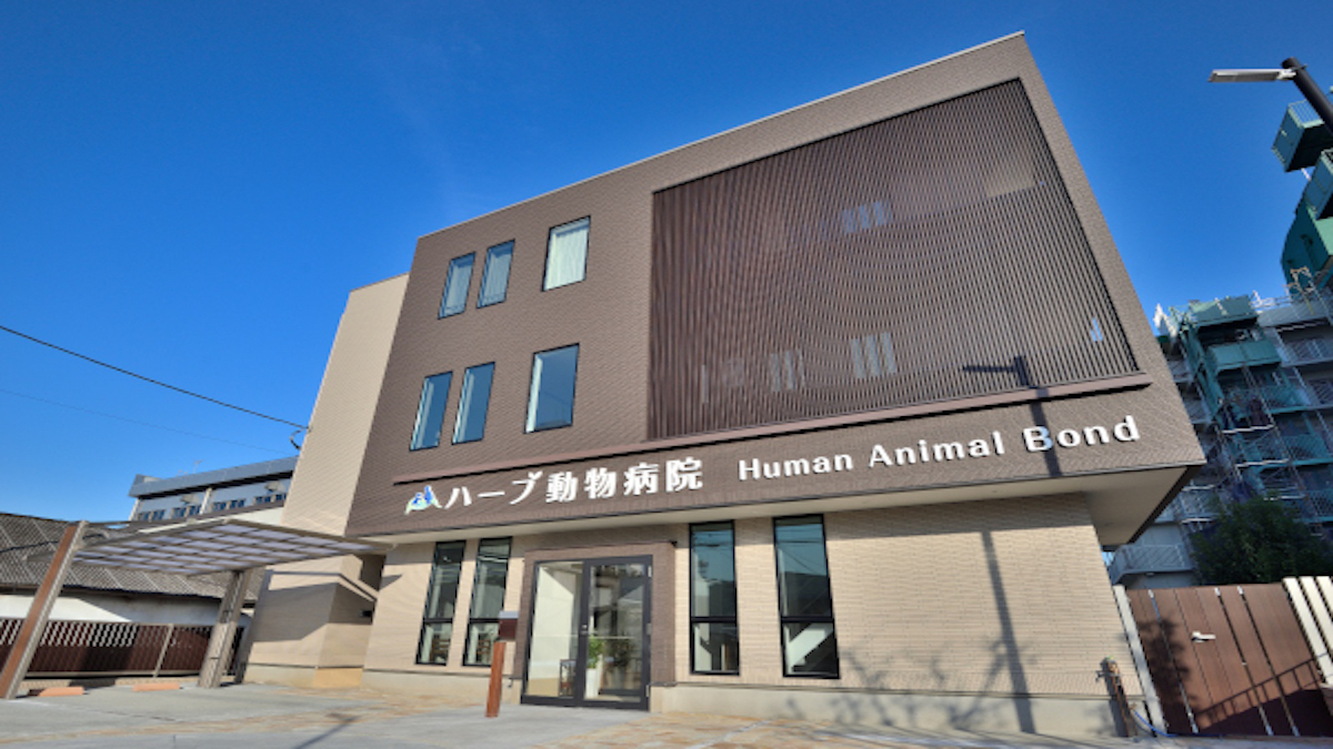 ハーブ動物病院