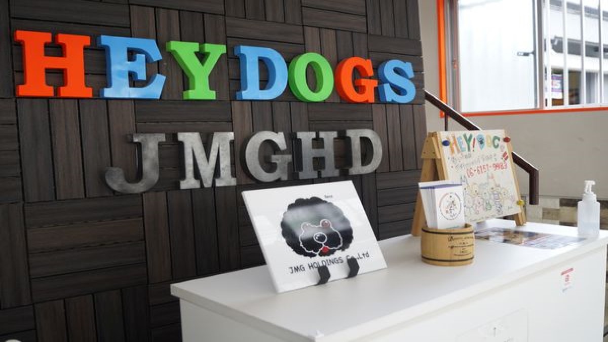 HeyDogs