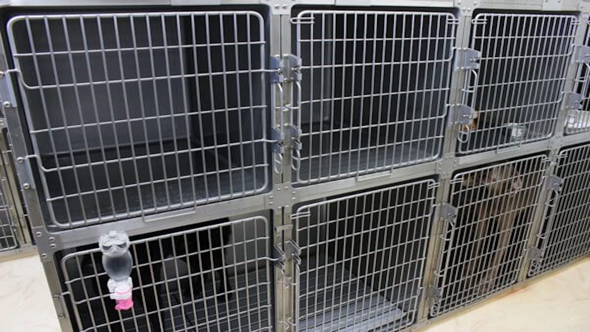 川口動物医療センター