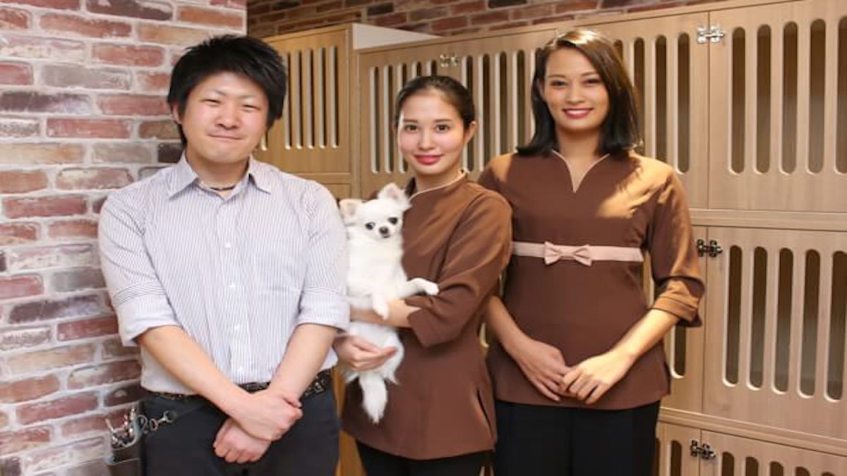 ペットホテル・トリミングサロン 麻布十番ダンボ本店(ホテル)