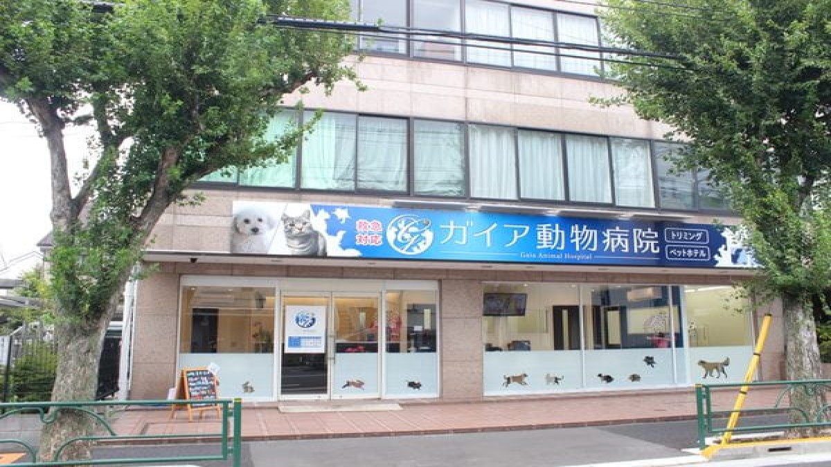 ガイア動物病院(ホテル)