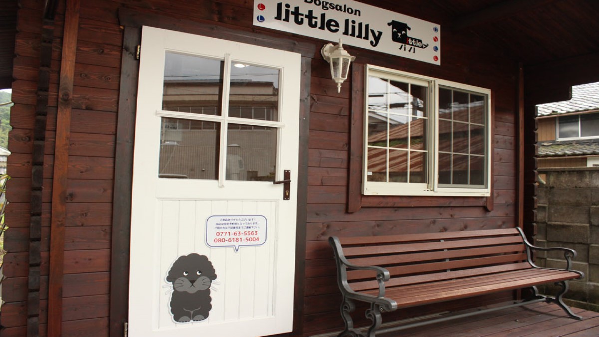 Dog salon little lilly