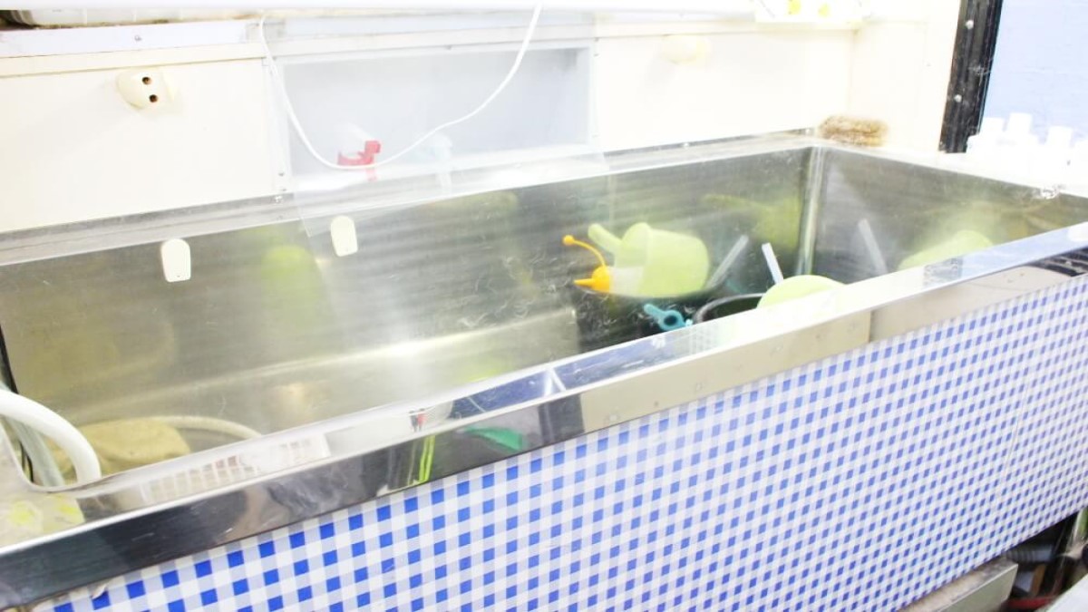 移動ペットサロン ワンダフル(出張専門)