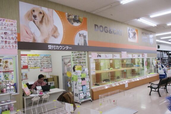 動物の森 堺インター店