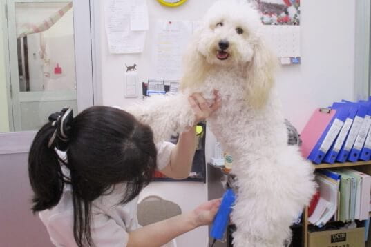 動物の森 堺インター店