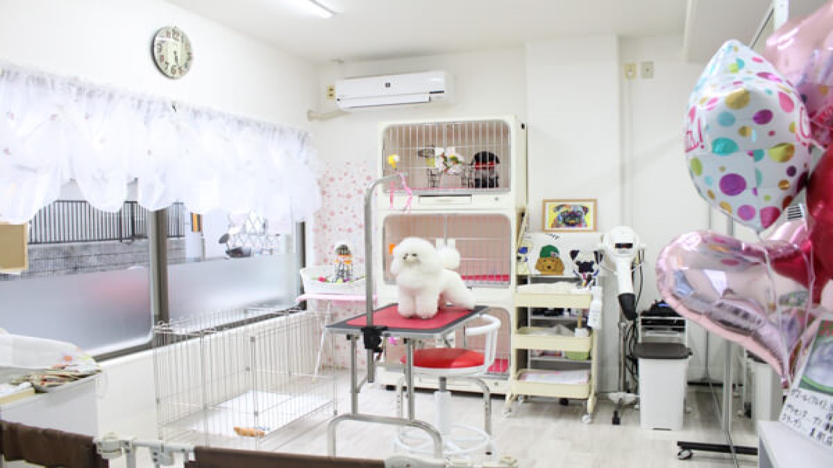 とりみんぐさろん TEDDY?POO
