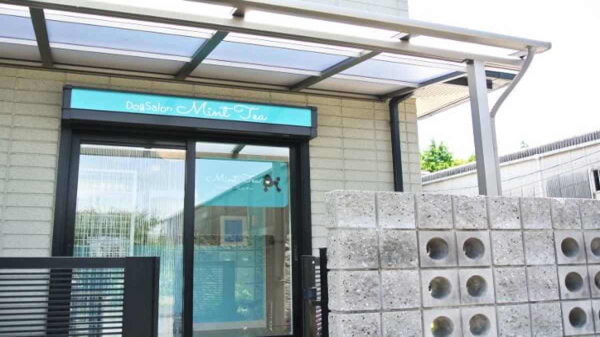 DogSalon MintTea