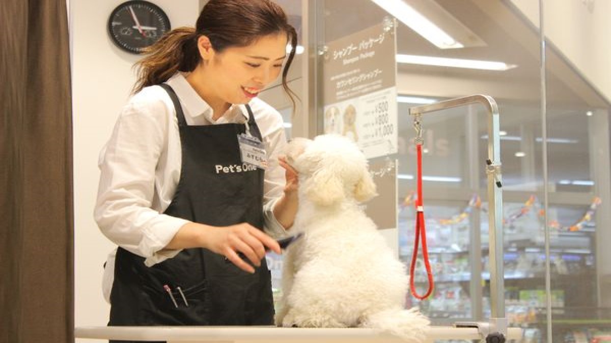 ペッツワン川島店