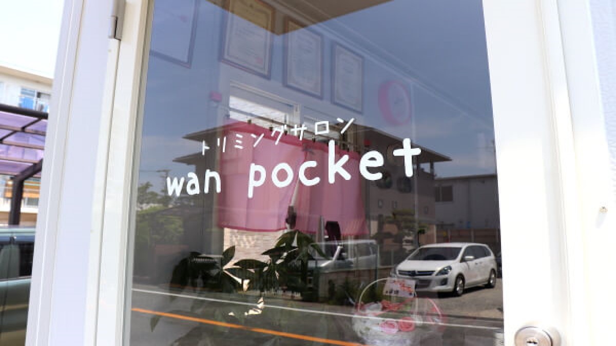 wan pocket