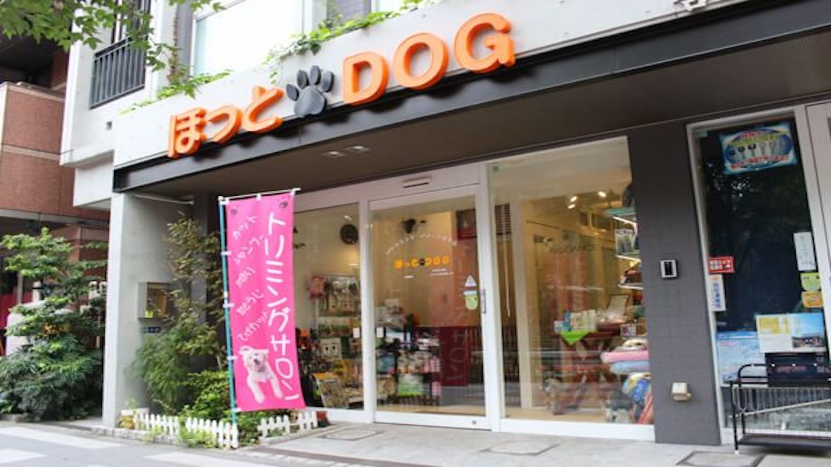 ほっとDOG