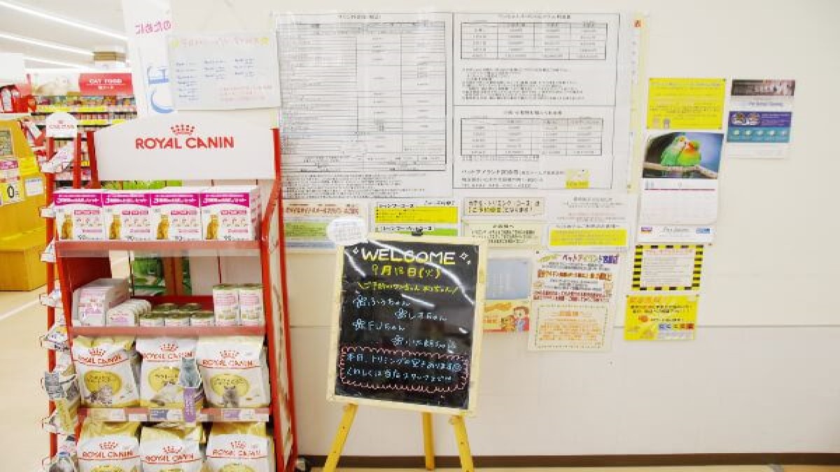 ペットアイランド(エバーペット)宮原店