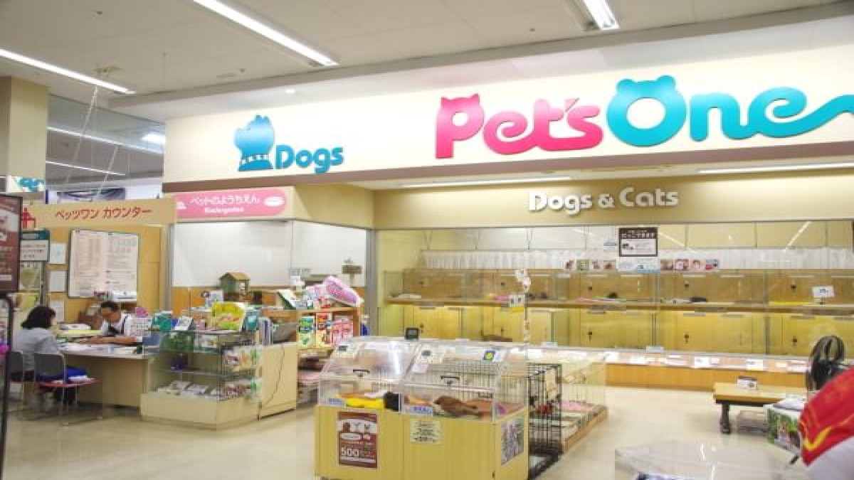 ペッツワン(エバーペット)大宮店