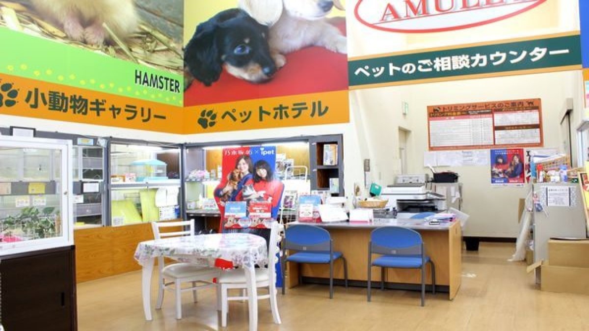 Amulet 神栖店
