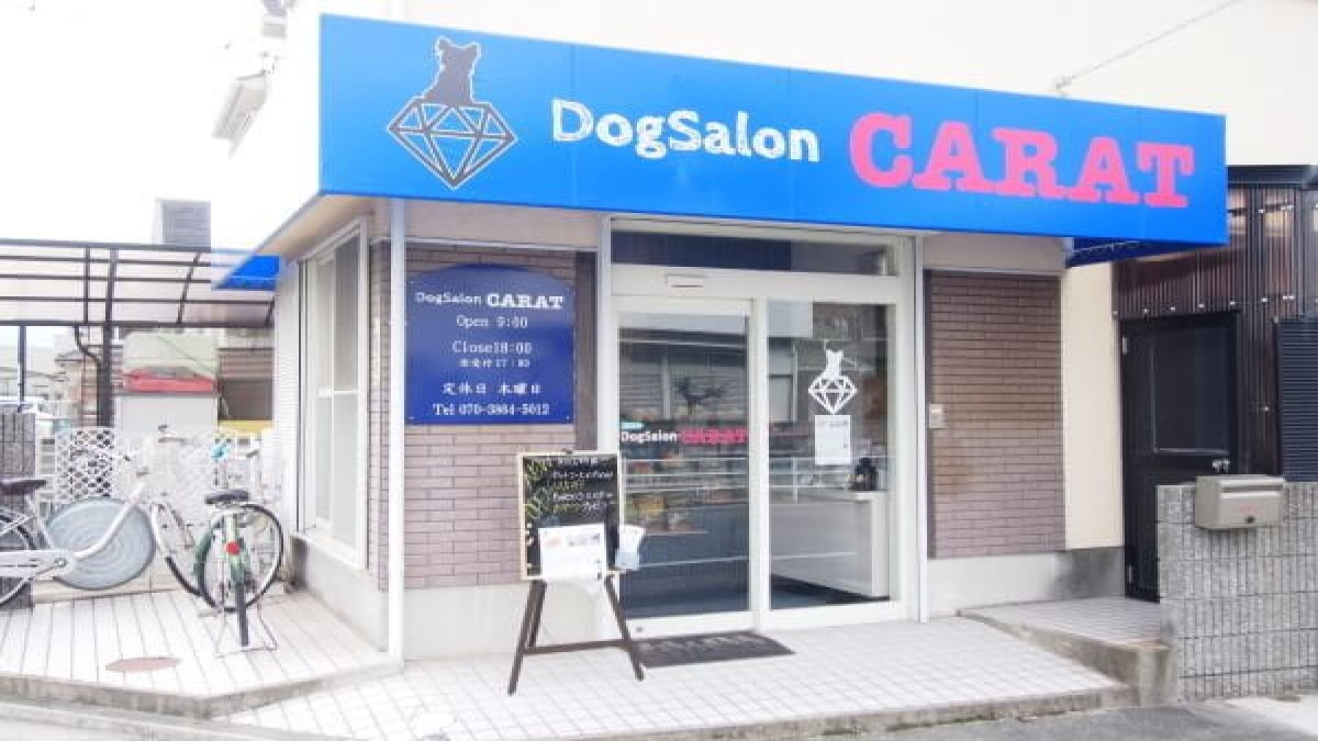 DogSalon CARAT