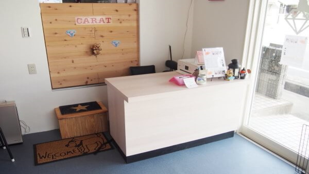 DogSalon CARAT
