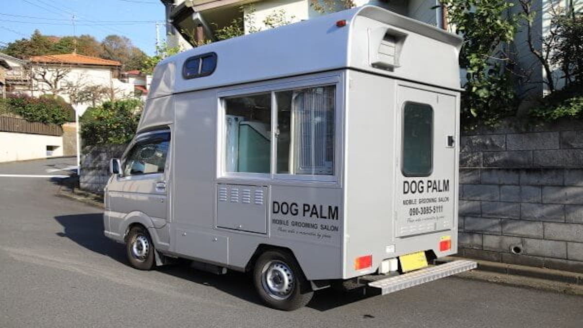 DOG PALM(出張専門)
