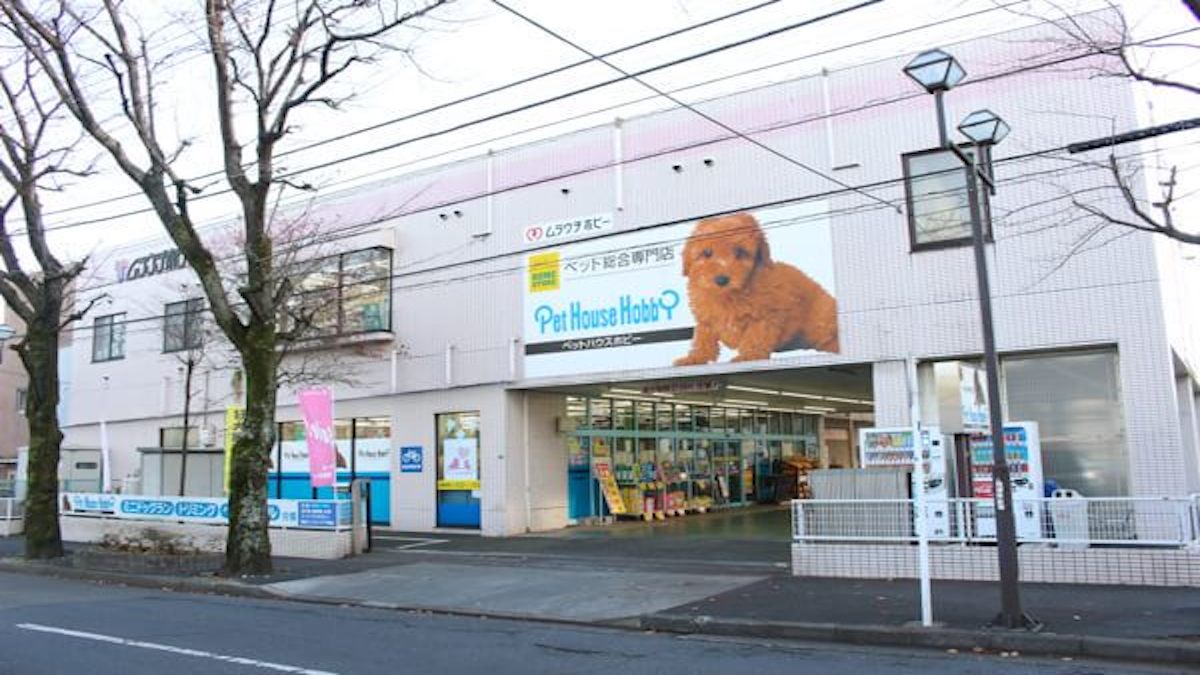 pet care salon glan