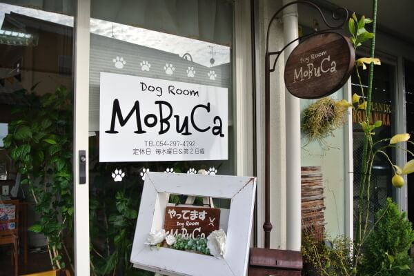 Dog Room MoBuCa