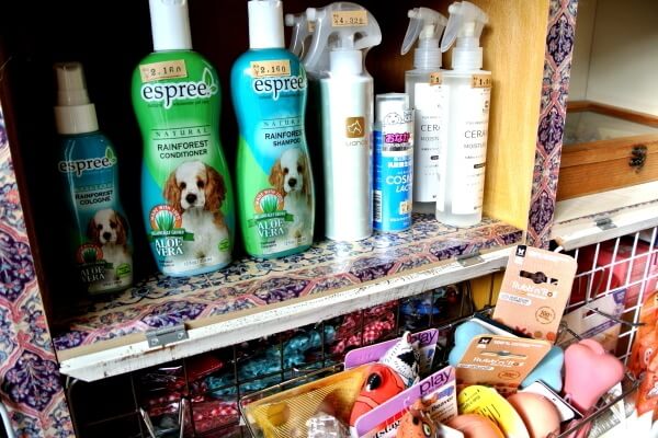 Dog Room MoBuCa