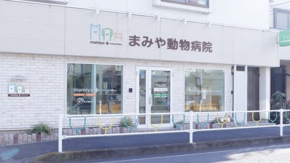 まみや動物病院