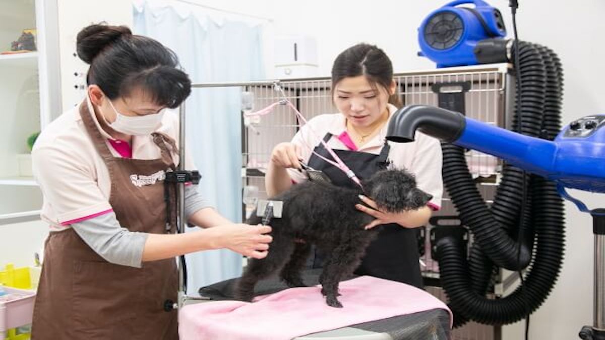 トリミングサロン スピーディーワン
