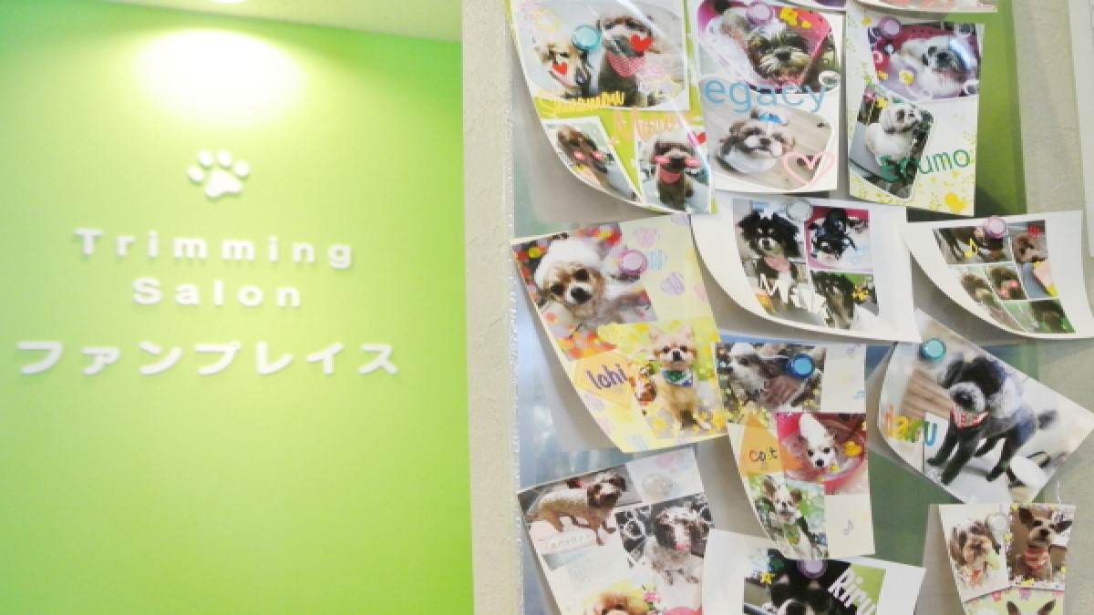 ファンプレイス 檀渓通店