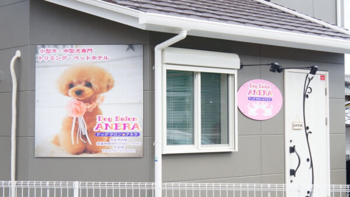 Dog Salon ANERA