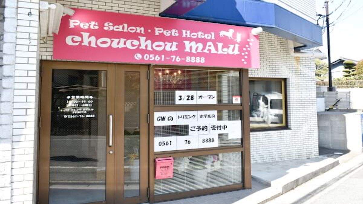 chouchou MALU