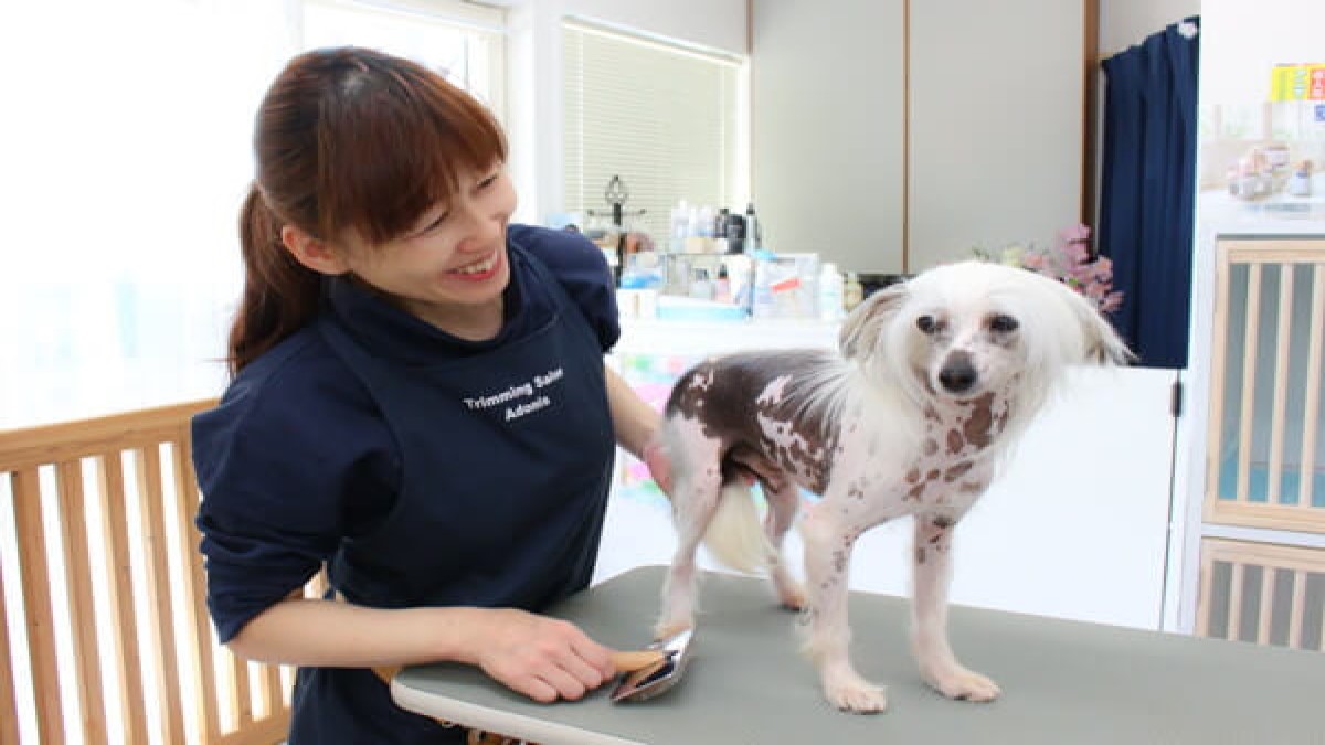 Trimming Salon Adonis 淵野辺店