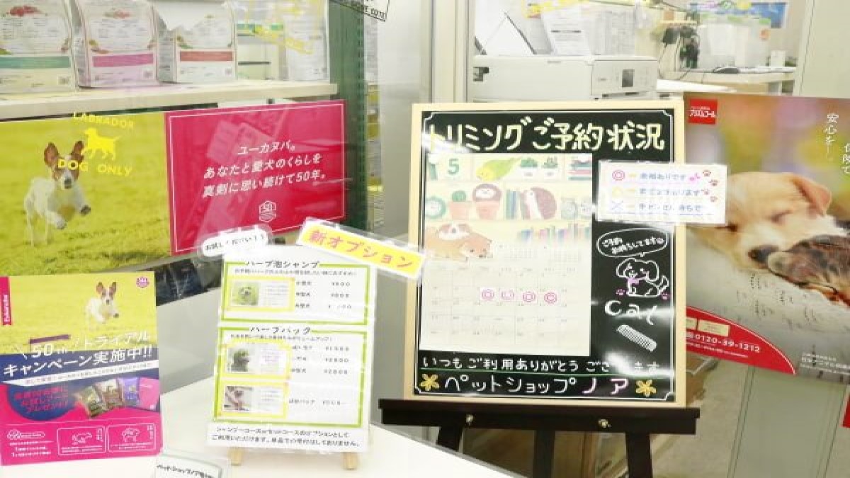 ペットショップノア 竜ヶ崎店