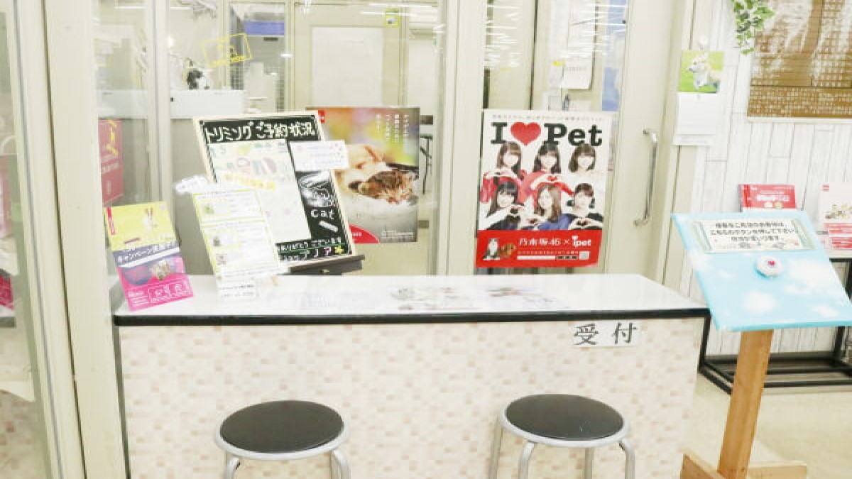ペットショップノア 竜ヶ崎店