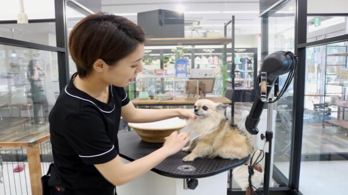 PET DESIGN 赤坂けやき通り店