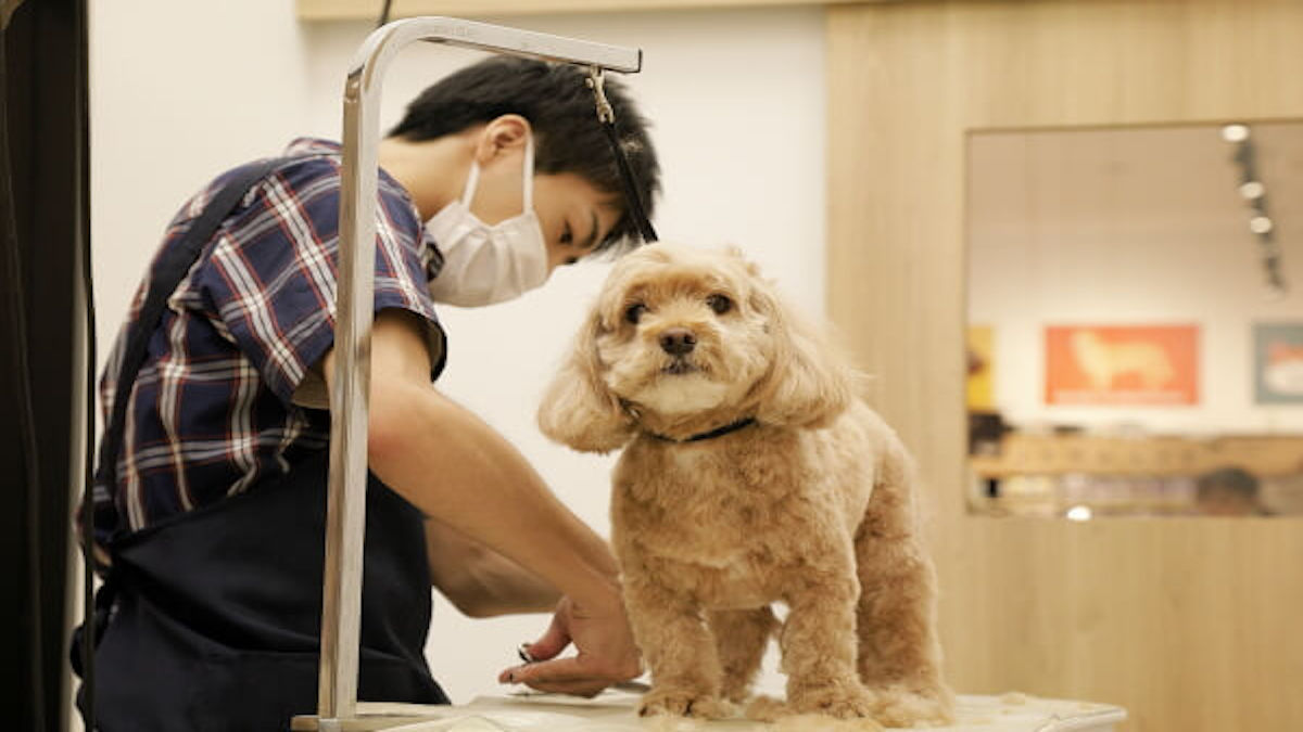 PETEMOBeautySalon むさし村山店