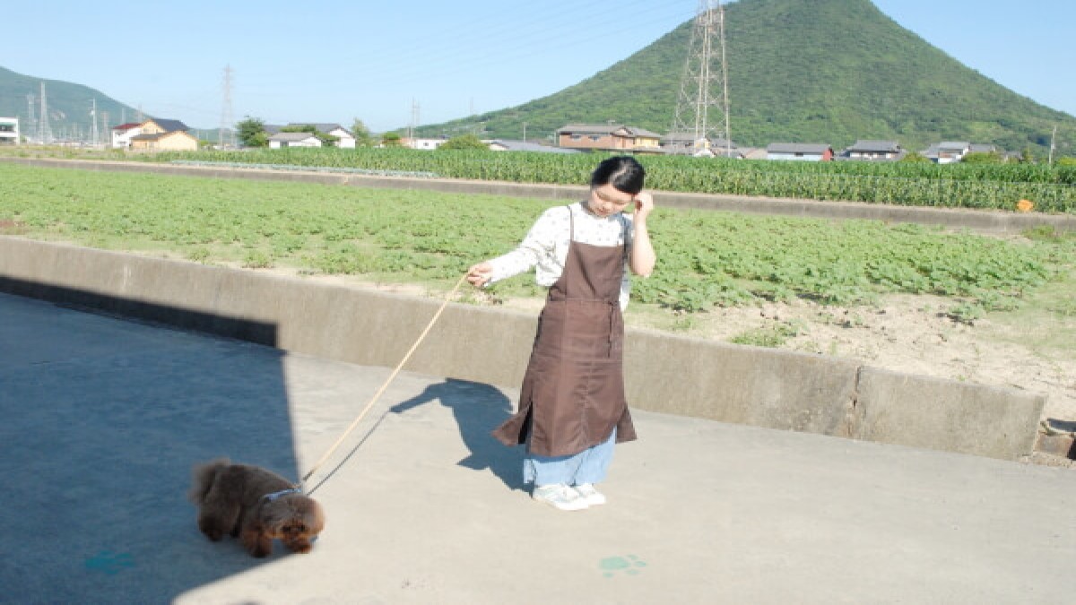 保育園型dog salonくろーばー