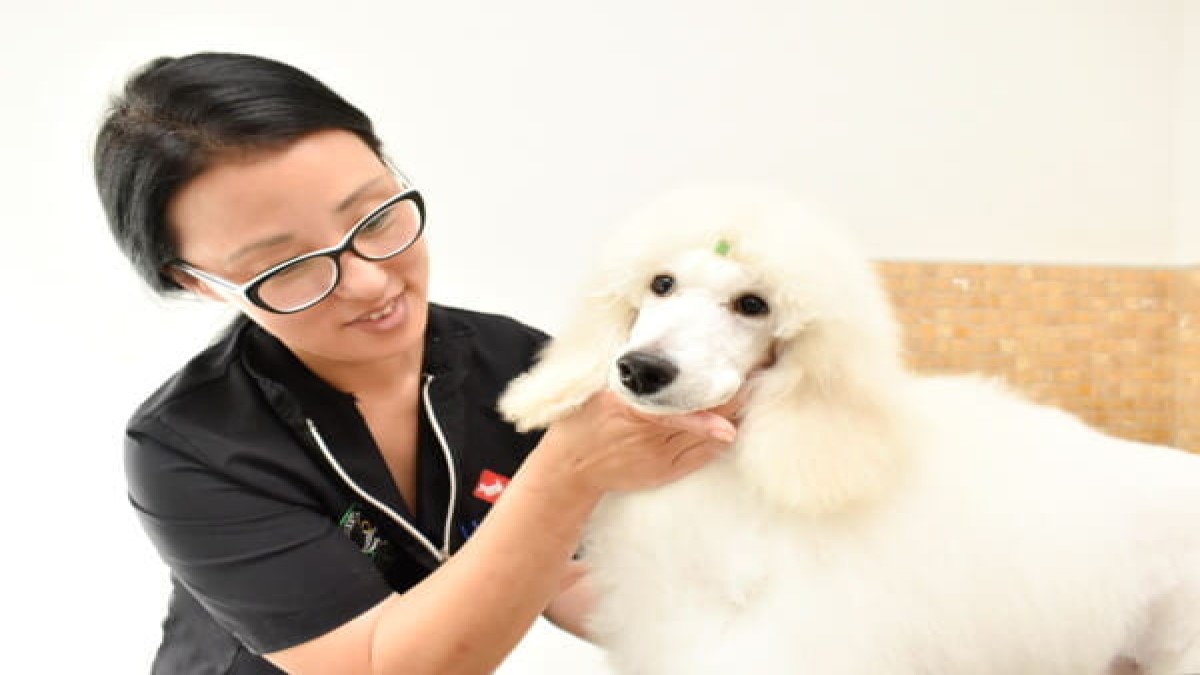 Max Garden PetShop PetSalon