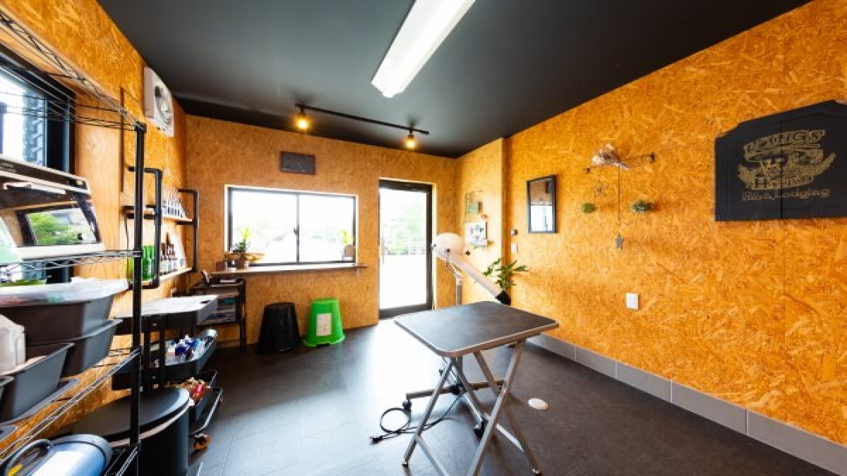 Dog salon sou 蒼