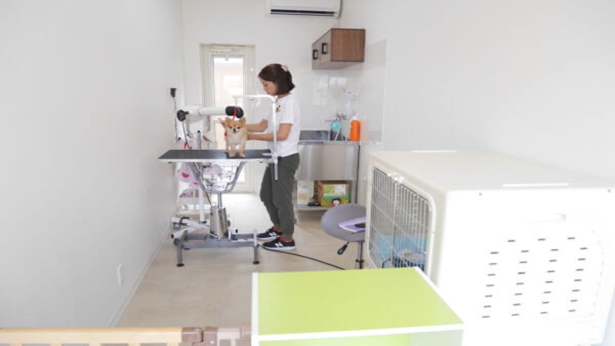 DOG SALON ROKARI