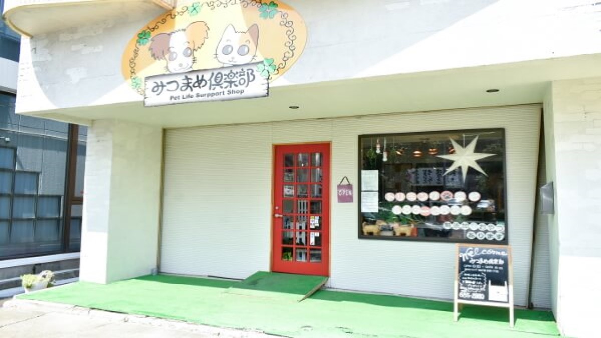 みつまめ倶楽部 港店