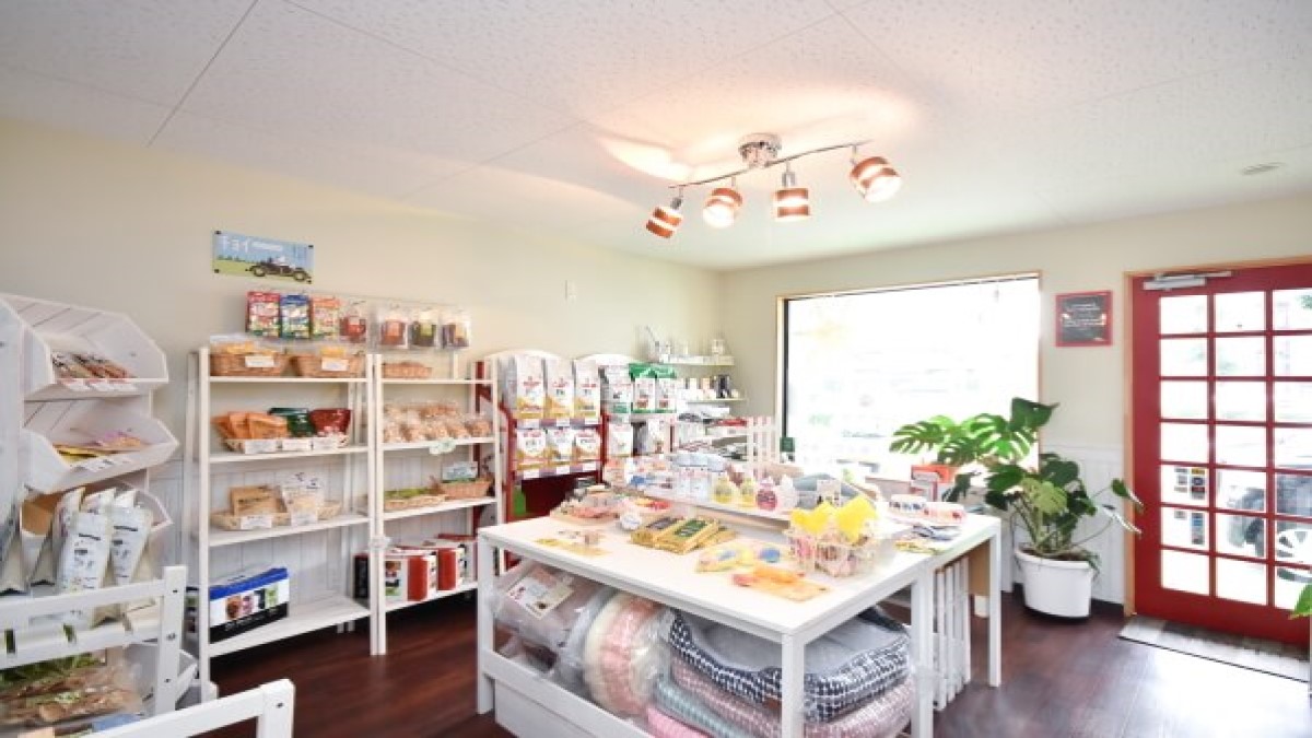 みつまめ倶楽部 港店