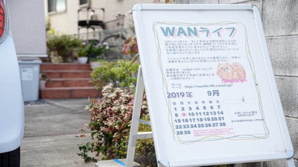WANライフ