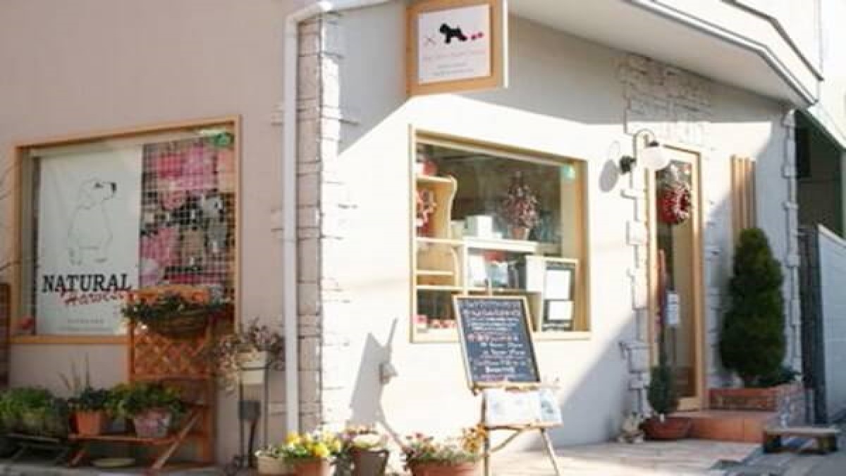 dogsalon cherry house