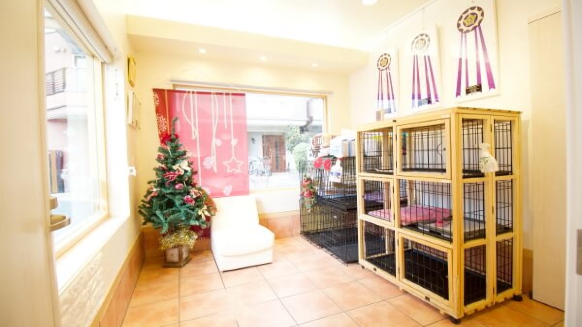 dogsalon cherry house