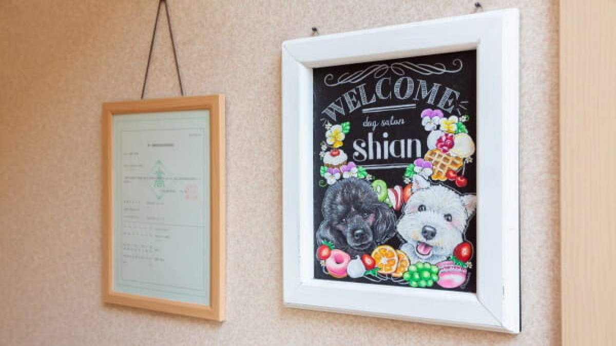 dog salon shian