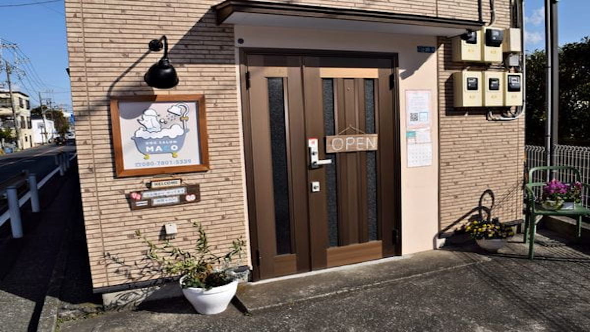 DOGSALON MACO