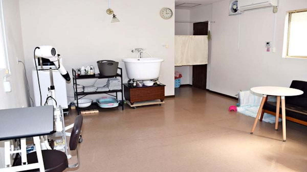 DOGSALON MACO