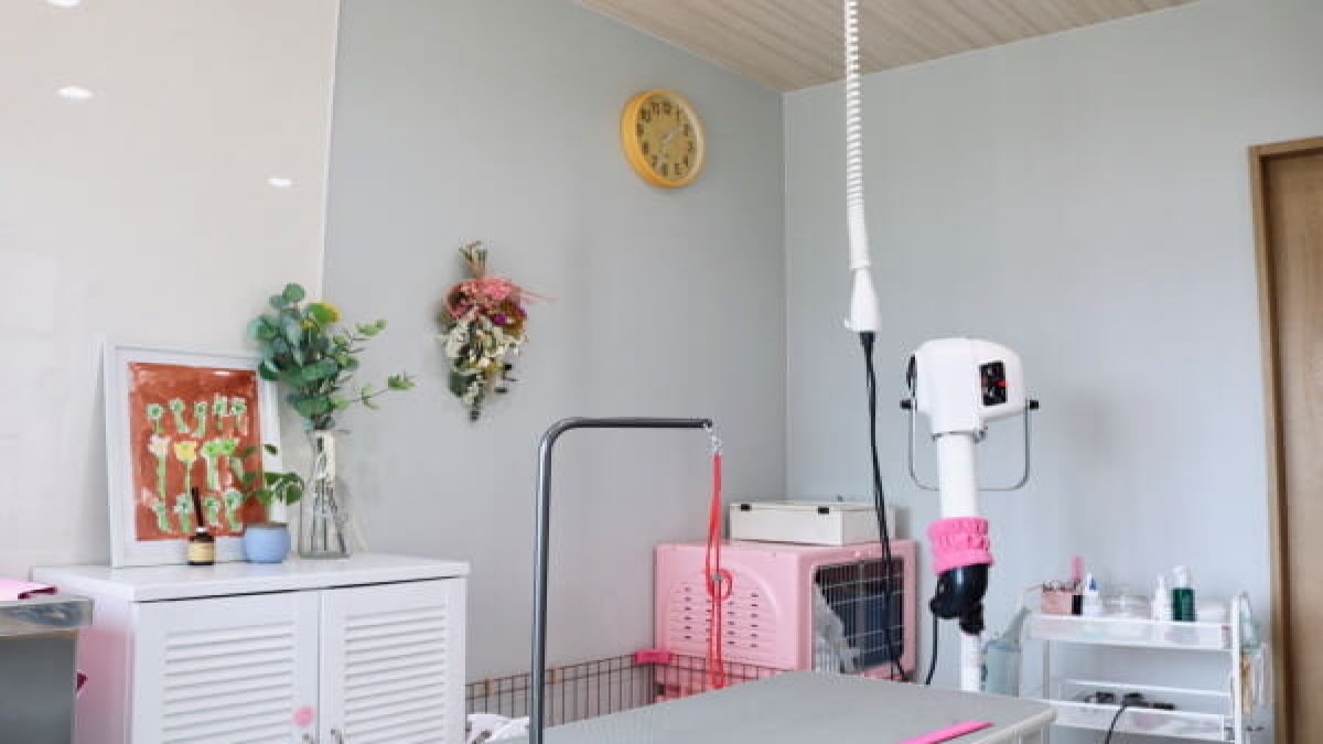 dogsalon わんROOM