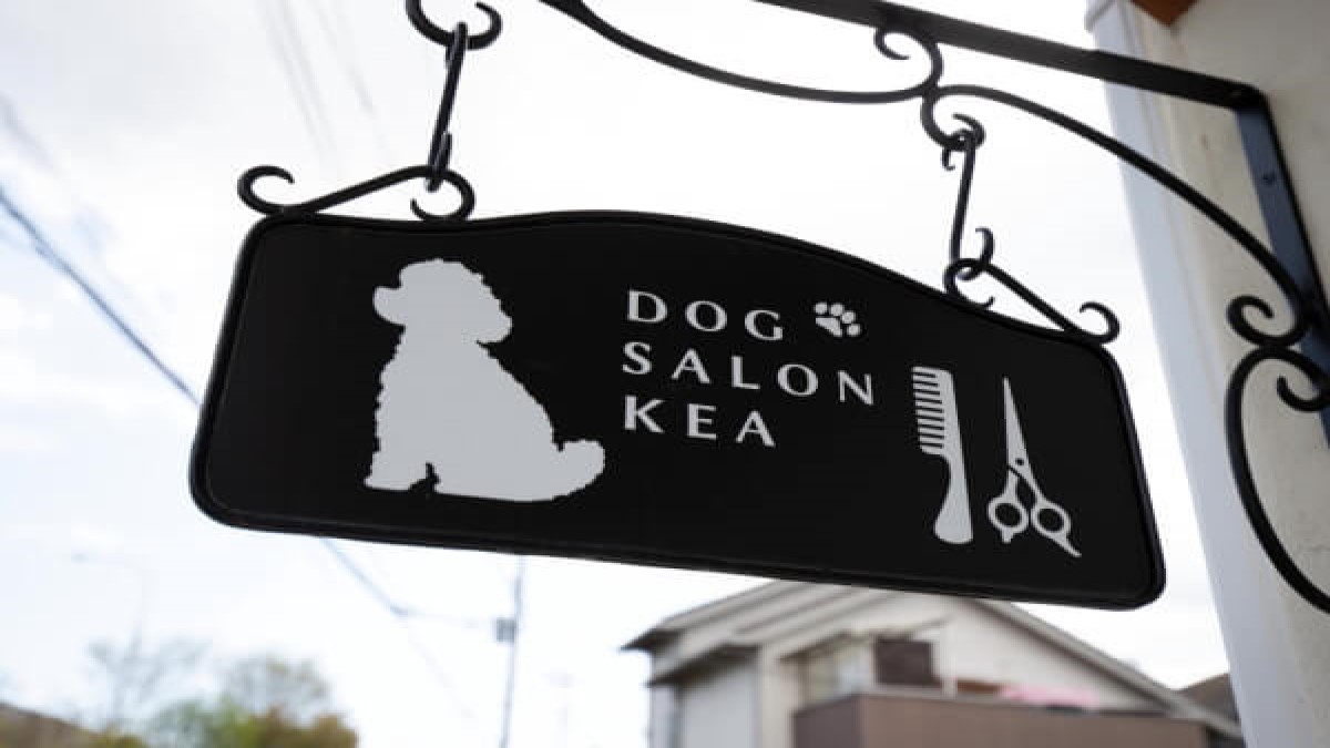 Dog salon KEA